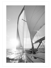 Mer Calme - Poster Seti Duo